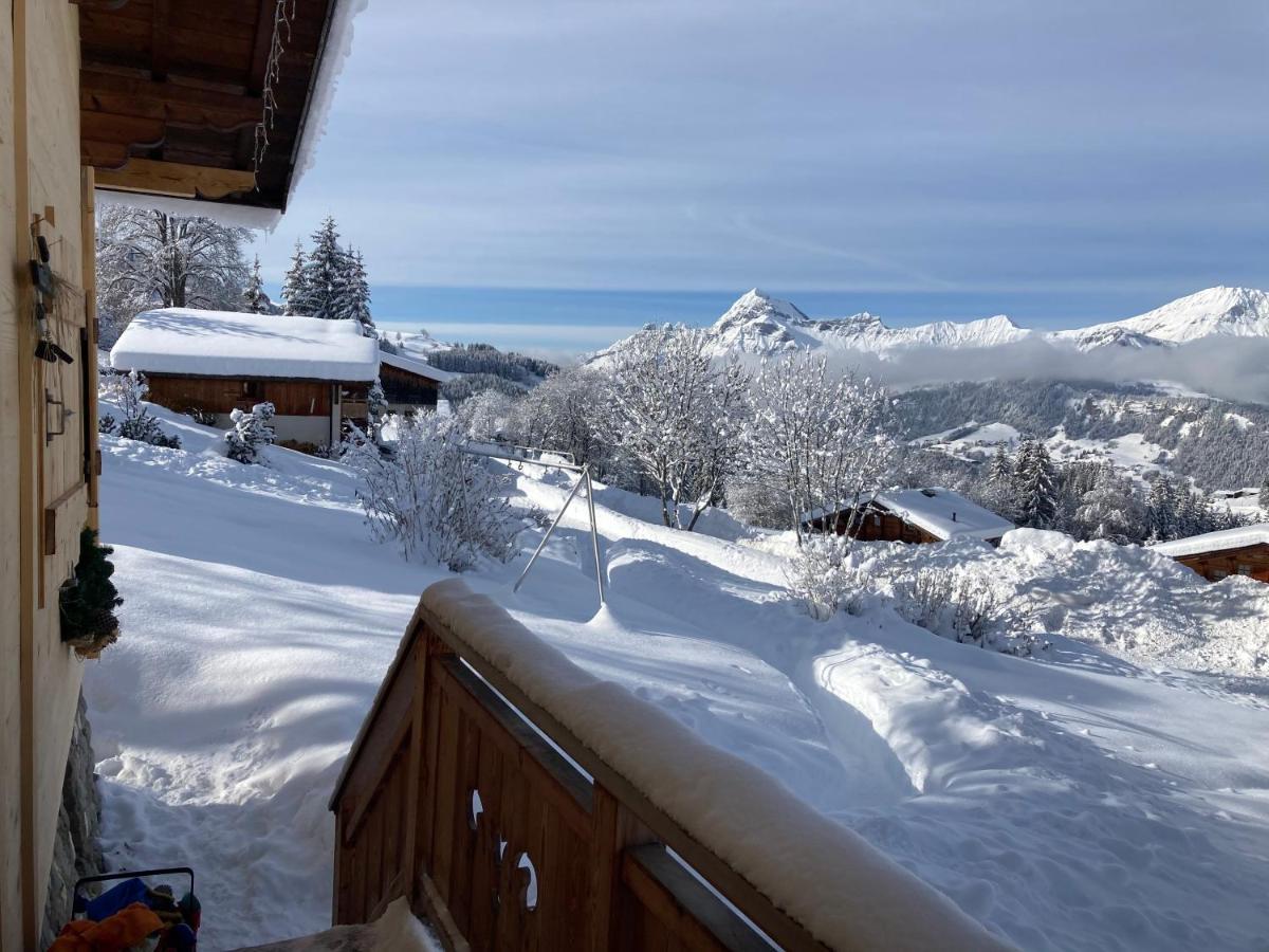 Chalets Savoie Les Chalets D'Heidi Notre-Dame-de-Bellecombe Ngoại thất bức ảnh