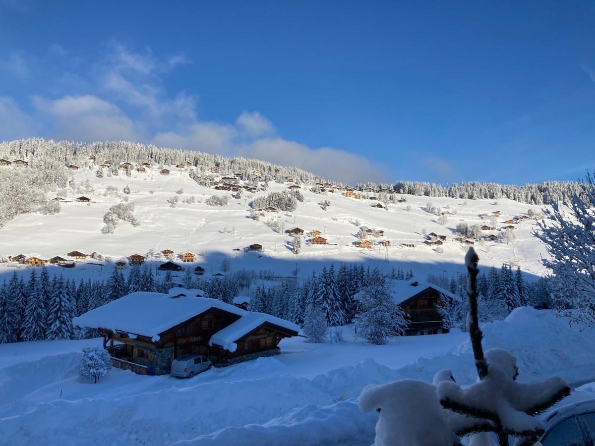 Chalets Savoie Les Chalets D'Heidi Notre-Dame-de-Bellecombe Ngoại thất bức ảnh
