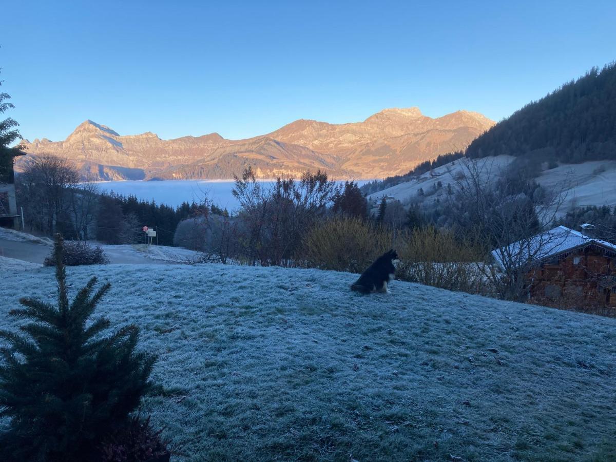 Chalets Savoie Les Chalets D'Heidi Notre-Dame-de-Bellecombe Ngoại thất bức ảnh
