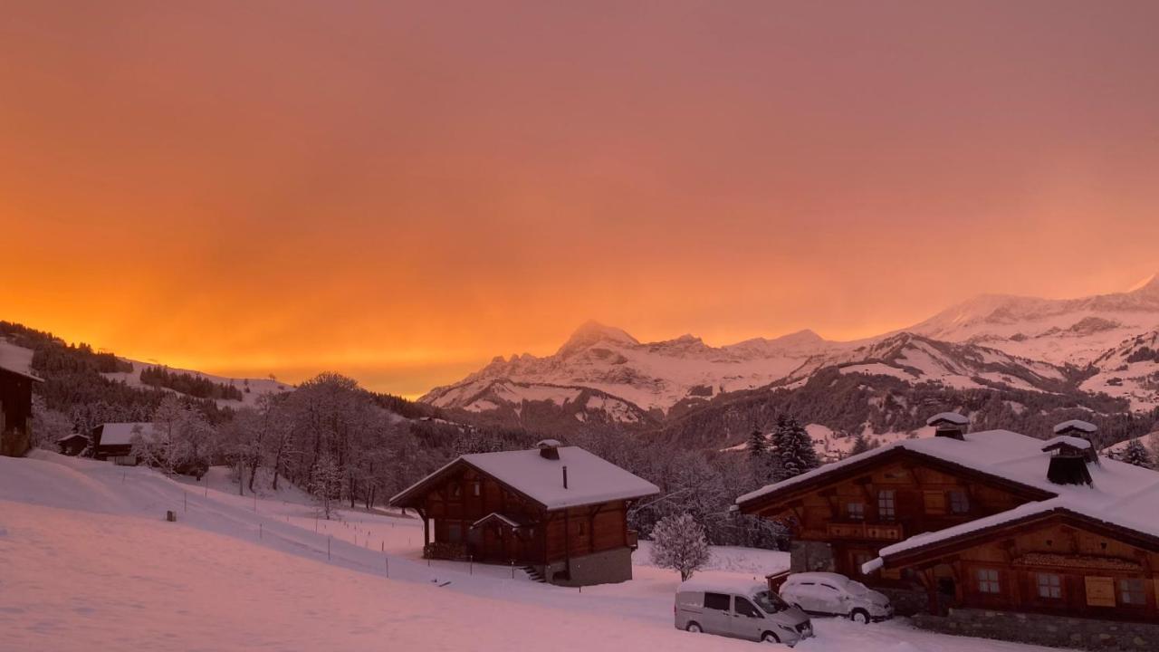 Chalets Savoie Les Chalets D'Heidi Notre-Dame-de-Bellecombe Ngoại thất bức ảnh