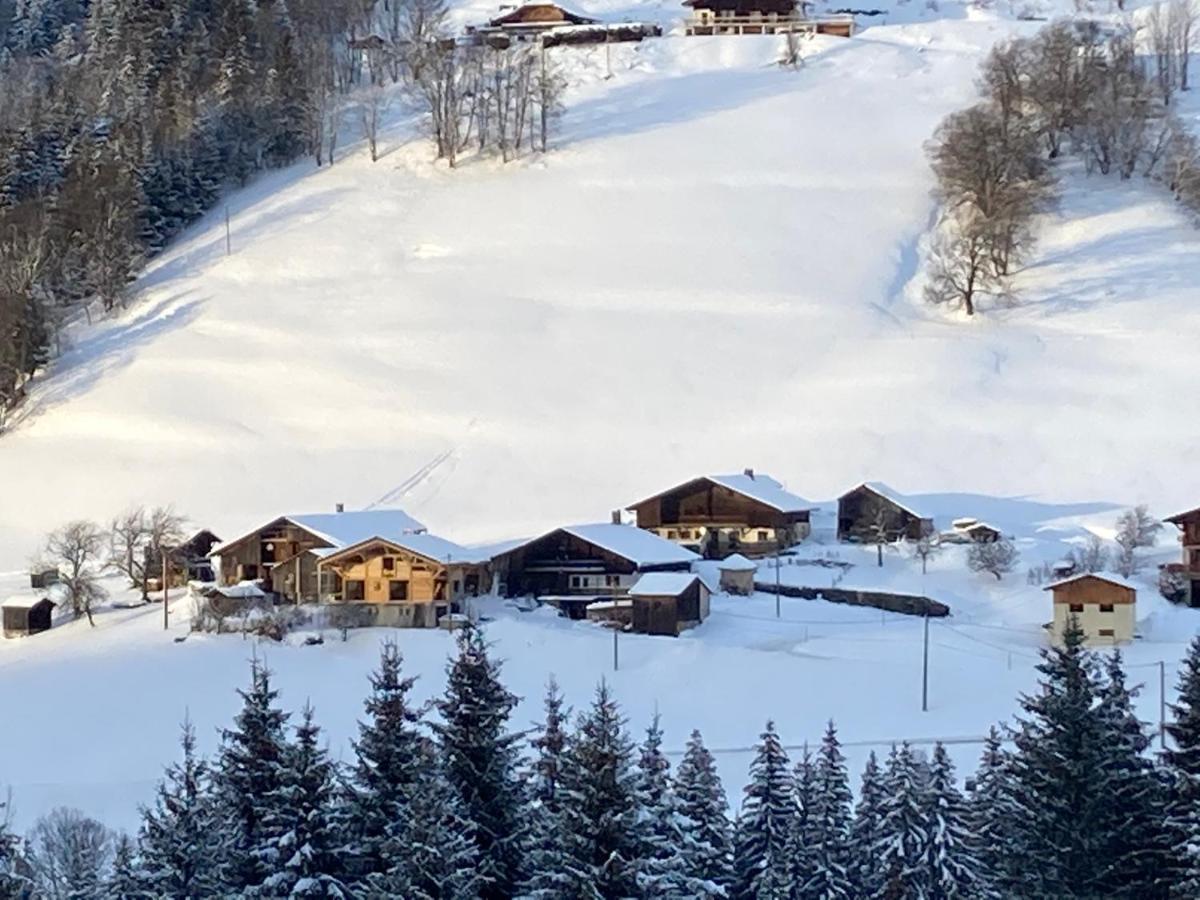 Chalets Savoie Les Chalets D'Heidi Notre-Dame-de-Bellecombe Ngoại thất bức ảnh