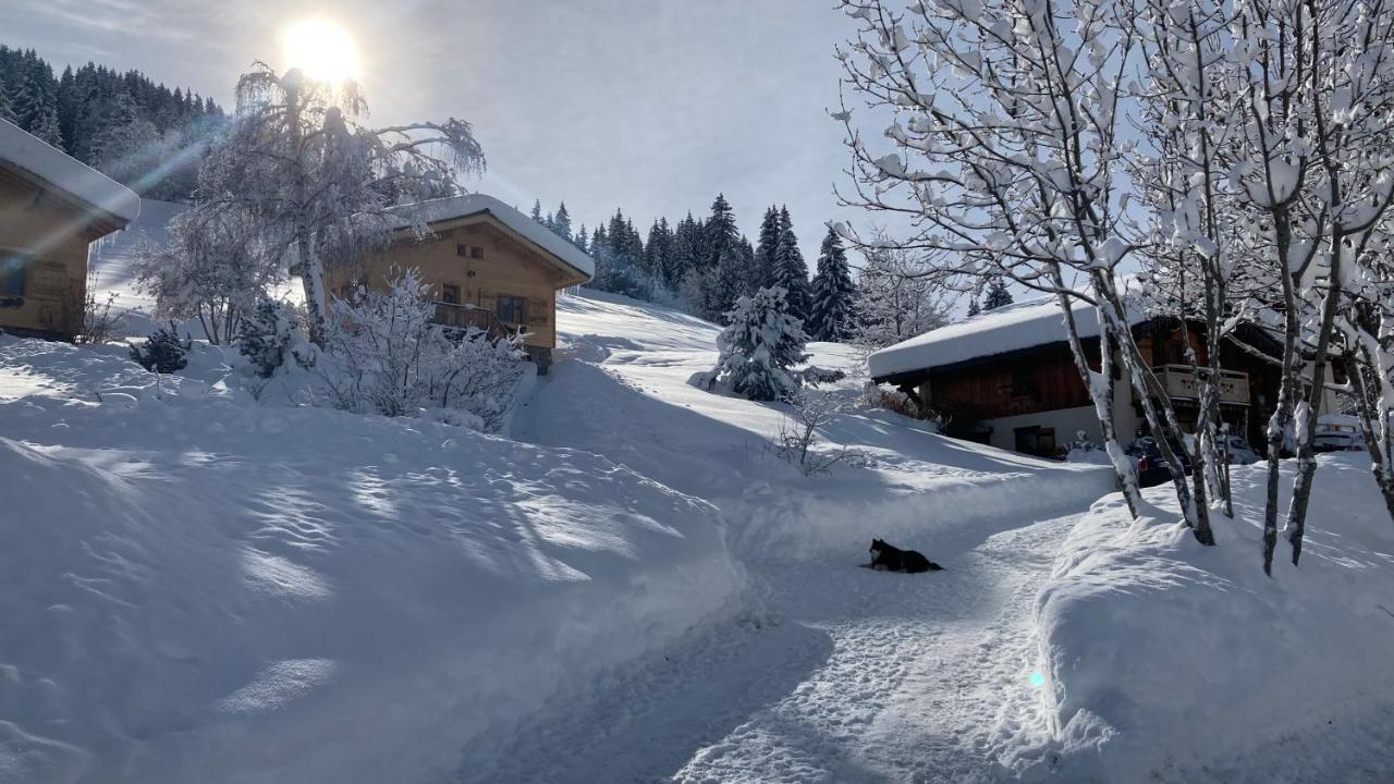Chalets Savoie Les Chalets D'Heidi Notre-Dame-de-Bellecombe Ngoại thất bức ảnh