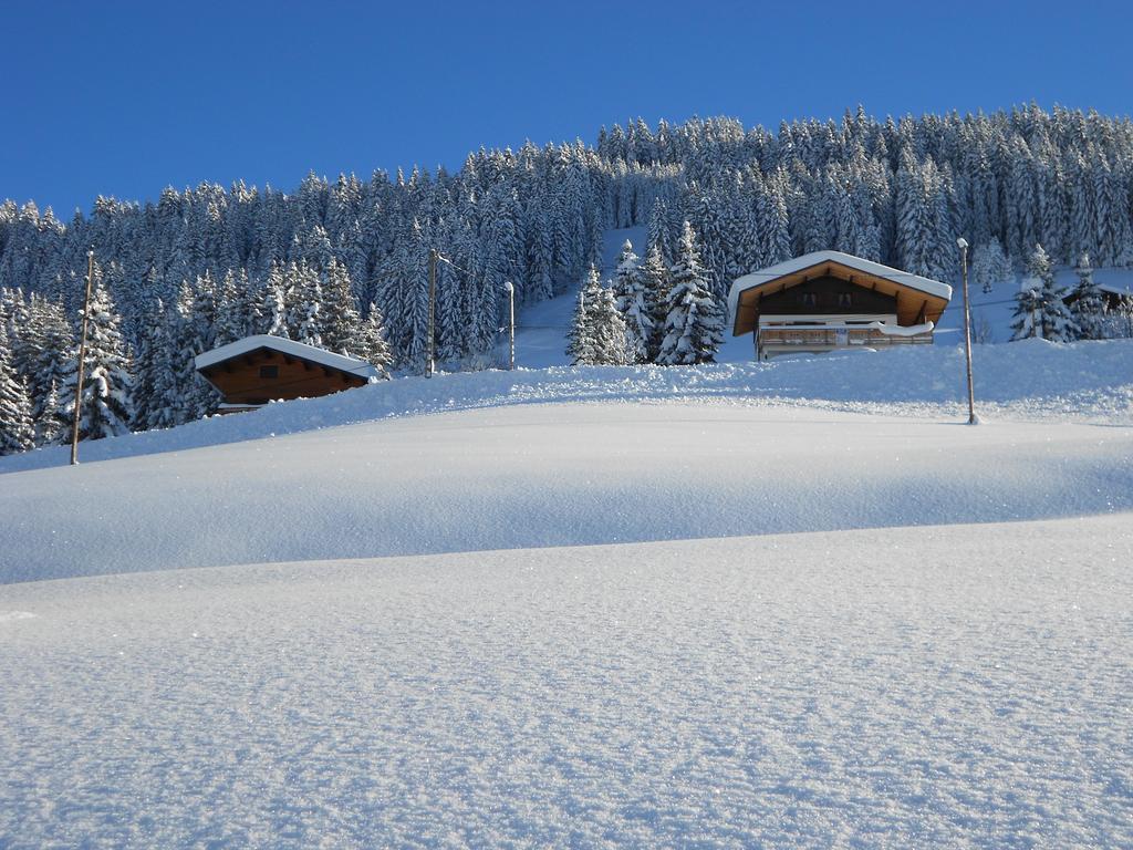 Chalets Savoie Les Chalets D'Heidi Notre-Dame-de-Bellecombe Ngoại thất bức ảnh