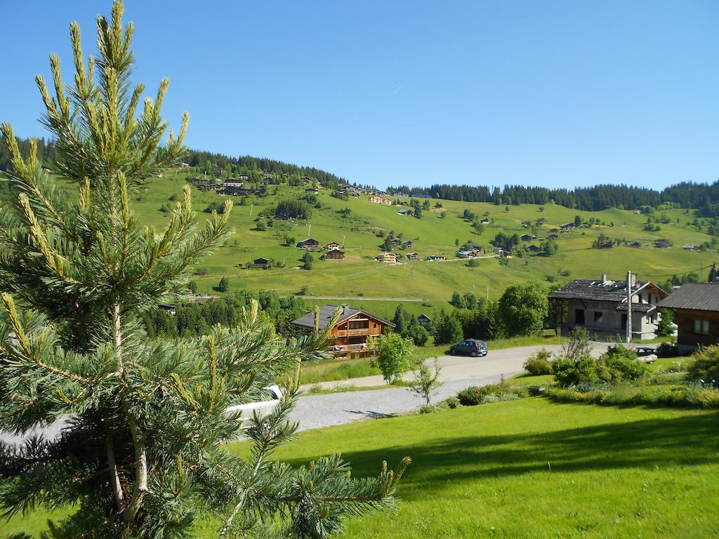 Chalets Savoie Les Chalets D'Heidi Notre-Dame-de-Bellecombe Ngoại thất bức ảnh