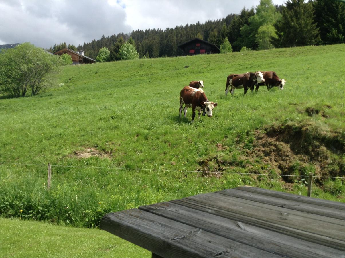 Chalets Savoie Les Chalets D'Heidi Notre-Dame-de-Bellecombe Ngoại thất bức ảnh